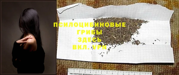 2c-b Абинск