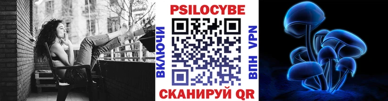 Псилоцибиновые грибы Cubensis  Чегем 